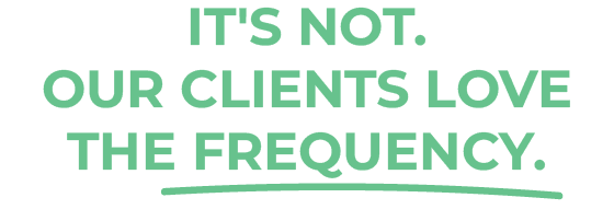 Bushido-Website_Element_Weekly-Update-21