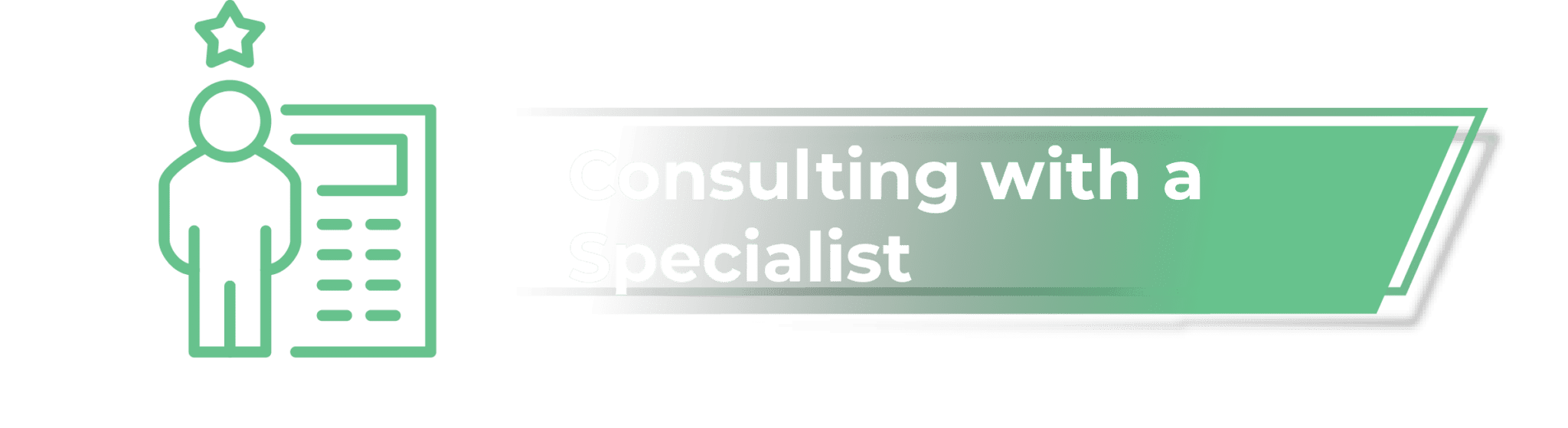 Bushido-Website_Services-250211-20-2048x559