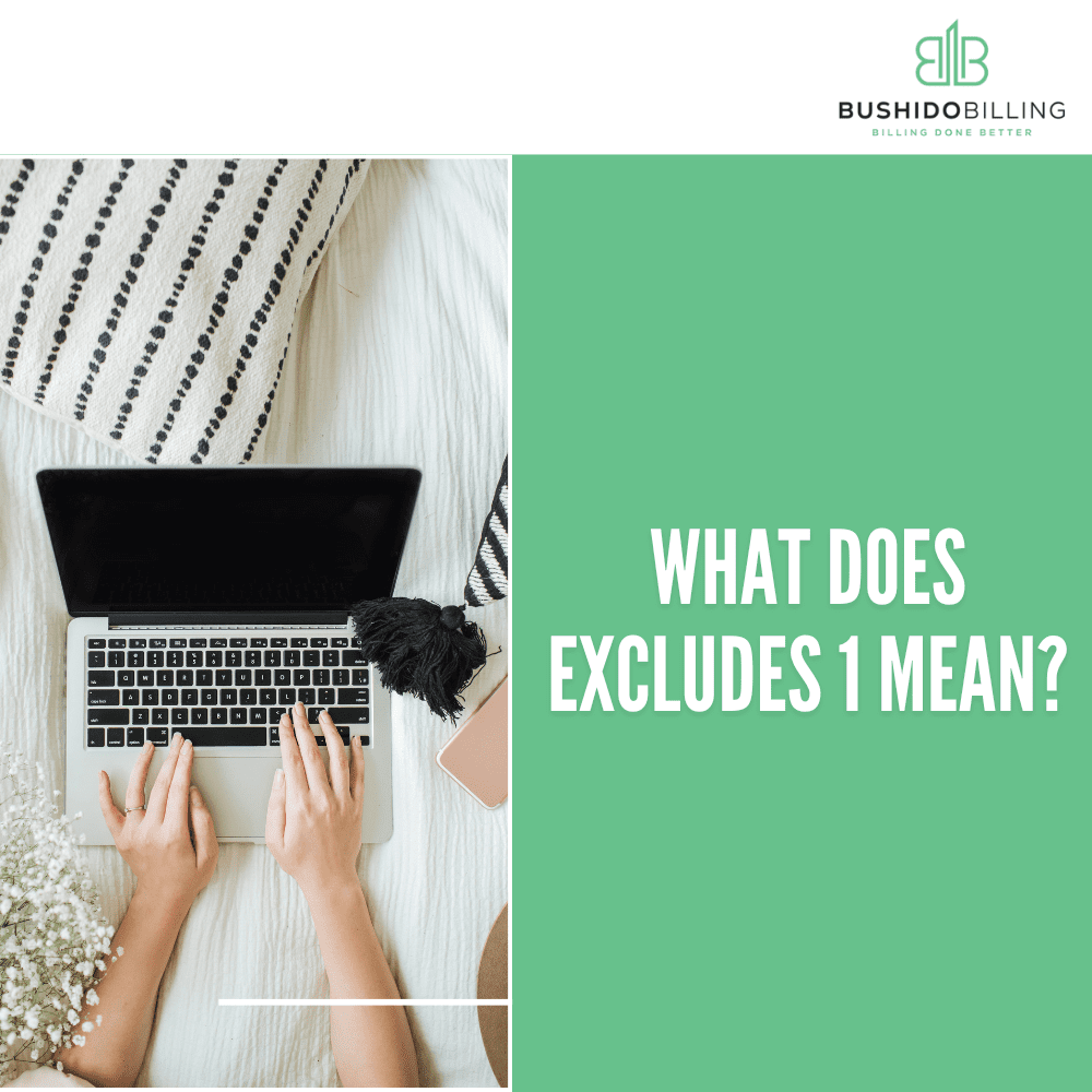 What does Excludes 1 mean for a Chiropractor?
