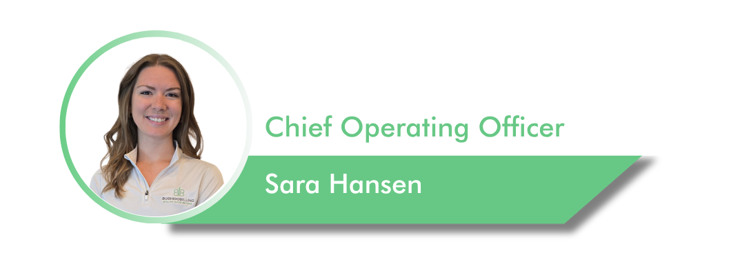 Sara Hansen - Website